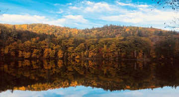 6 incredible spots to admire the colors in SUP this fall on the East side! - The Wild Tribe