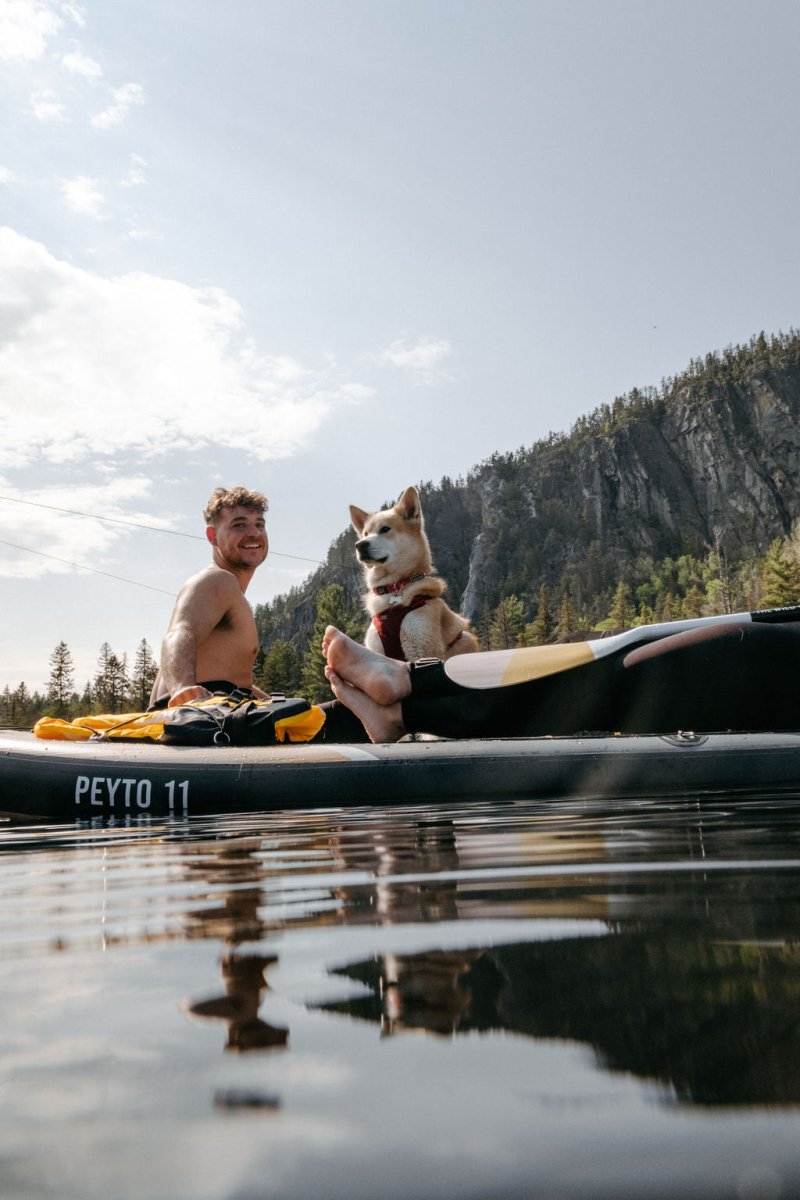 SUP avec chien - recommandations de The Wild Tribe - The Wild Tribe