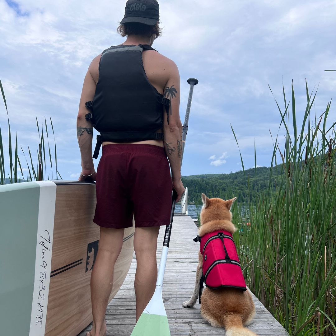 Gilet de flottaison pour animaux - The Wild Tribe