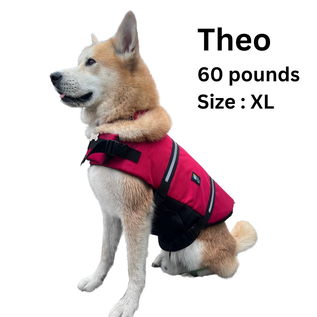 Gilet de sauvetage pour animaux - The Wild Tribe