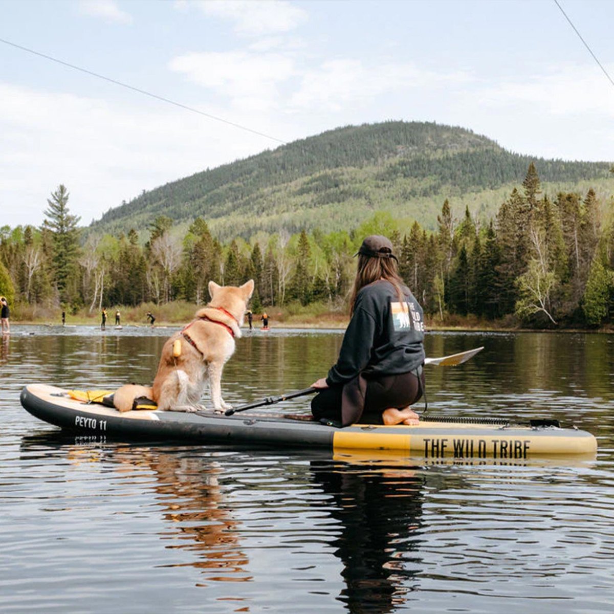 Peyto Golden 11 (2024) : paddleboard gonflable premium polyvalent de 11' - The Wild Tribe